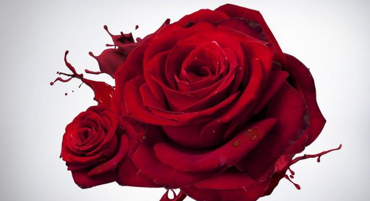 Fototapeta do sypialni